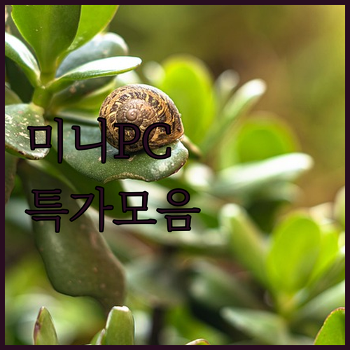 사무용, 유튜브 감상에 최적화된 미니 PC 특가 모음!