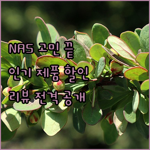 NAS 구매 고민 끝! 인기 NAS 제품 할인 정보 및 사용자 리뷰 전격 공개