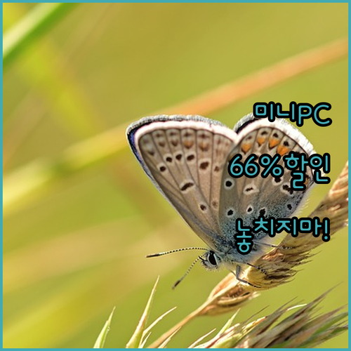 가성비 미니 PC 추천 레노버 M710Q, 66% 할인 기회 놓치지 마세요!