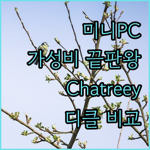 미니 PC 전성시대 가성비 끝판왕 Chatreey & 디클 비교 분석