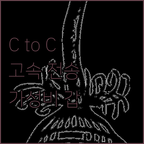 고속 데이터 전송 케이블타임 USB C to C 타입 리뷰 및 추천